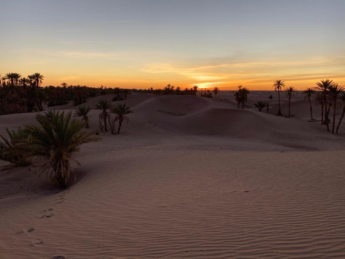 Camp Auberge Sahara Marokko M'Hamid Exteriör bild