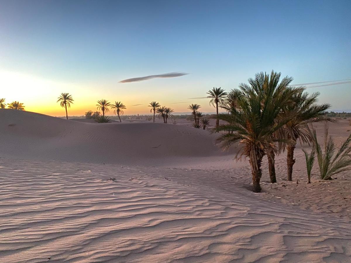 Camp Auberge Sahara Marokko M'Hamid Exteriör bild
