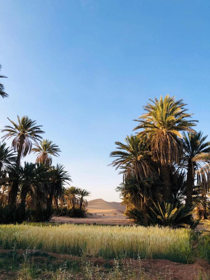 Camp Auberge Sahara Marokko M'Hamid Exteriör bild